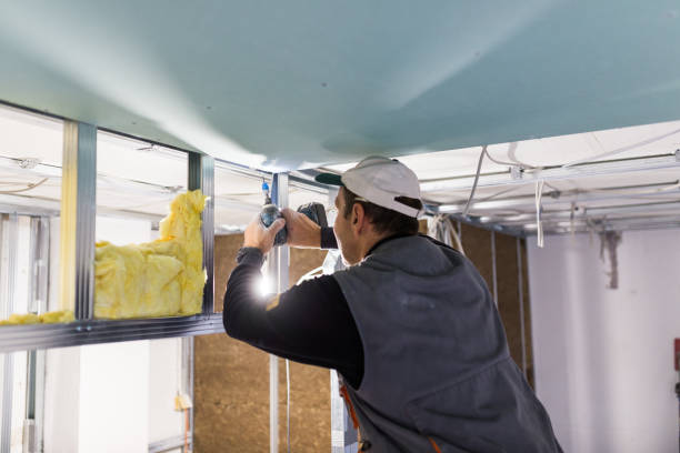 Best Cellulose Insulation in Cathcart, WA